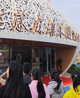 69814f8dc8c40.png 69814f8dc8c40.png