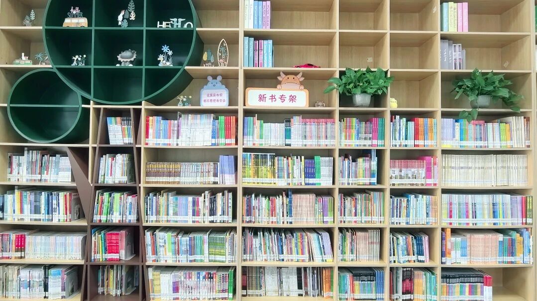 69a24fa44c386.jpg 69a24fa44c386.jpg